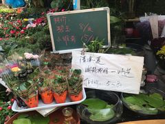 -曲阳花鸟市场(曲阳路店)