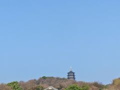 -乡土黄·鲜牛肉火锅·小龙虾(兴业街店)