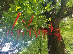 -终南山南五台景区