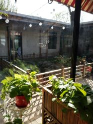 -爱儿美儿童摄影(朝阳公园店)