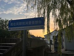 -鲁镇