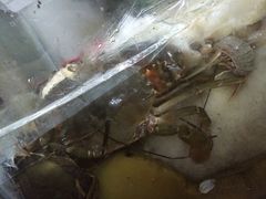 -阳江餐厅·30年老字号·粤菜海鲜大排档