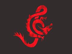 -南京奥林匹克体育中心-体育馆