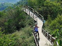 -大岭沟猕猴桃谷风景区