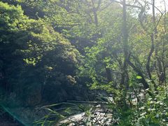 -宁波五龙潭景区