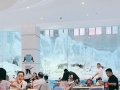 -帝企鹅自助餐厅•儿童岛•真企鹅(长隆企鹅酒店)