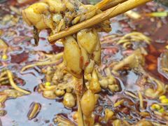 -蛙老爹·蜀香美蛙鱼头(王家湾店)