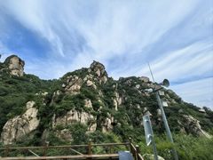 -大岭沟猕猴桃谷风景区