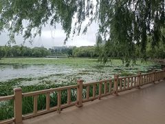 -长春市南湖公园
