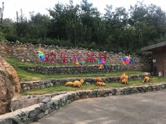 -欢乐松鼠谷