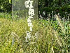-嘉北郊野公园