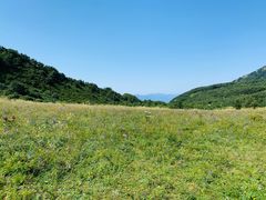 -白草畔自然风景区