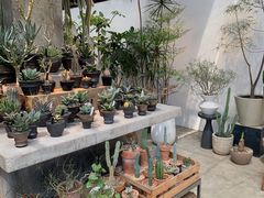 -自由生长植物工作室(深港花卉中心店)