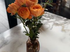 -O'eat Blossom&Pelican(深圳首店)