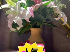 -十二月·宁夏盐池滩羊肉火锅