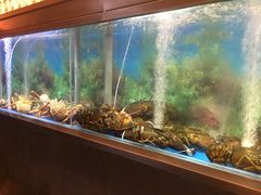 -人杰鱼乐轩(珠江路店)