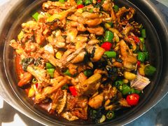 -蛙小侠(古镇大信新都汇店)