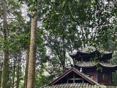 -都江堰普照寺