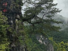 -重庆云阳龙缸景区