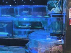 -金翠皇宫粤菜·点心·海鲜(科技园店)