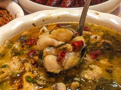 -香满锅老北京羊蝎子火锅·家常菜(新街口店)