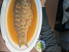 -豫丰汇河南名菜楼(武记餐饮)