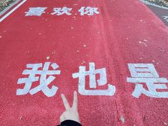 -黛秀湖公园