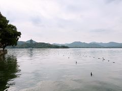 -杭州西湖柳莺里酒店·闻莺厅