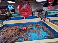 -日进一片海.生腌海鲜火锅.宵夜烧烤(三里屯总店)