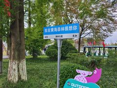 -黄海国家森林公园