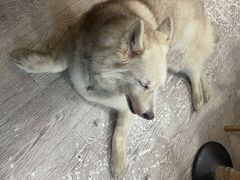-小时光咖啡馆(北锣鼓巷店)