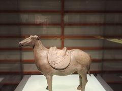 -南京博物院