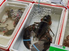 -登州市场(登州路店)