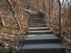 -紫金山山顶公园