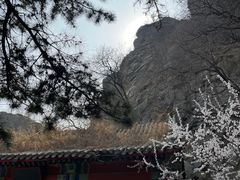 -鹫峰国家森林公园