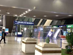 -合肥新桥国际机场-航站楼