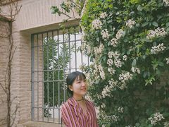 -阿尔罕布拉宫