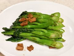 猪油渣炒菜心-任兴记(定西路店)