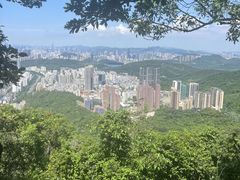 -梧桐山风景名胜区