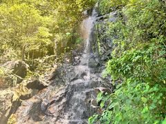 -太平山顶