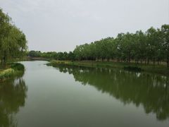 -东郊湿地公园