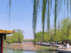 -济南大明湖景区