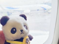 -绵阳南郊机场
