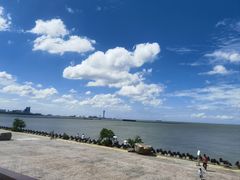 -上海滨江森林公园