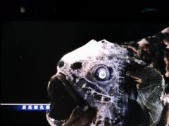 -同济大学四平路校区深海探索馆