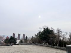 -黄椅山火山森林公园