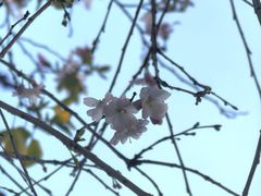 -柳侯公园