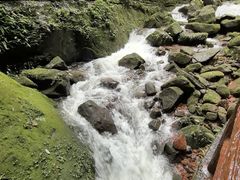 -赤水丹霞旅游区·佛光岩