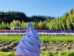 -富田农场