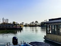 -泗洪洪泽湖湿地景区